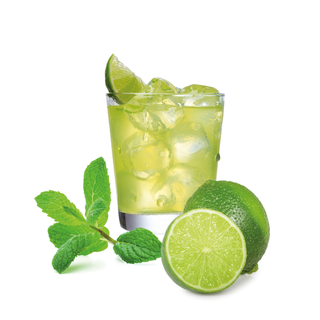 Mojito kokteilio kapsulės Nescafe Dolce Gusto ITALFOODS DOLCE VITA Mojito Ice, 16vnt.